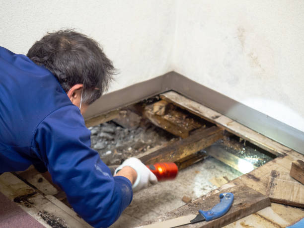Crawl Space Mold Removal in Aberdeen, MS