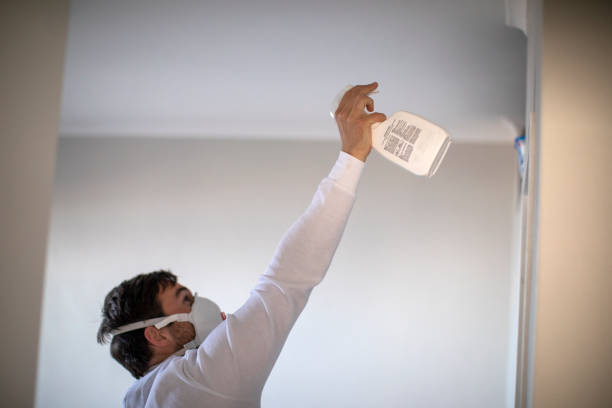 Mold Removal Process in Aberdeen, MS