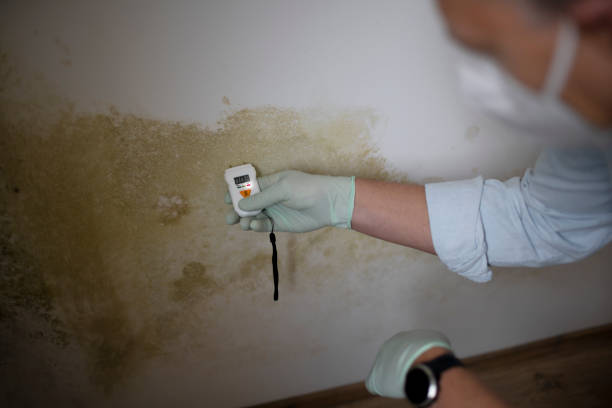 Best Crawl Space Mold Removal  in Aberdeen, MS